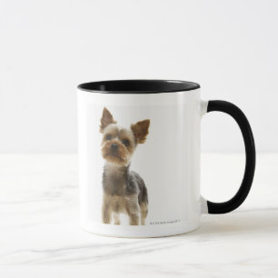 Yorkshire Terrier Tasse