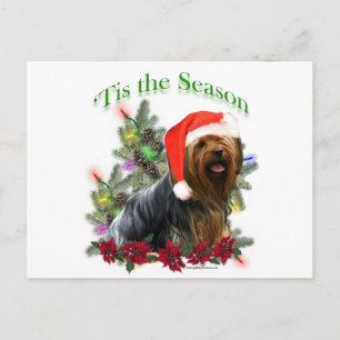 Yorkshire Terrier "Tis Postkarte