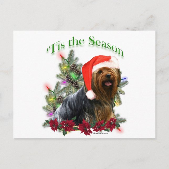 Yorkshire Terrier "Tis Postkarte (Vorderseite)