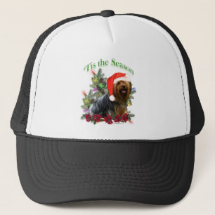 Yorkshire Terrier ` Tis Truckerkappe