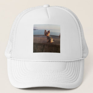 Yorkshire Terrier Truckerkappe