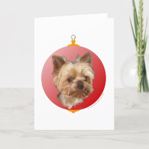 Yorkshire Terrier Weihnachten