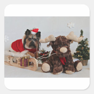 Yorkshire-Terrier-Weihnachtsmoose Quadratischer Aufkleber