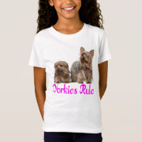 Yorkshire Terrier Welpe Dog Liebe Yorkies Girls
