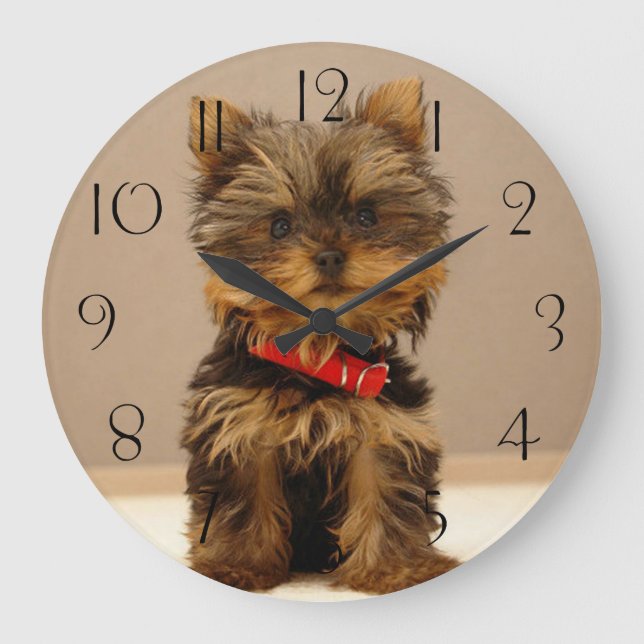 Yorkshire Terrier Welpe Große Wanduhr (Vorderseite)