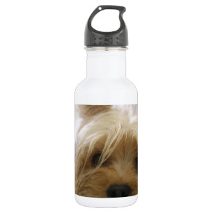 yorkshire terrier welpe haustier süßer hund gesich edelstahlflasche