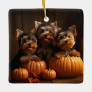 Yorkshire Terrier Welpe Herbstfreude Kürbis Keramikornament