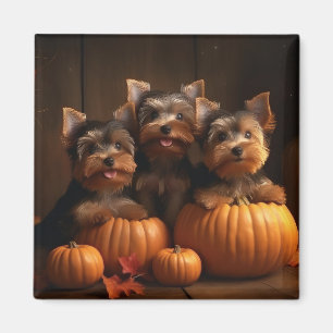 Yorkshire Terrier Welpe Herbstfreude Kürbis  Magnet