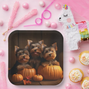 Yorkshire Terrier Welpe Herbstfreude Kürbis Pappteller