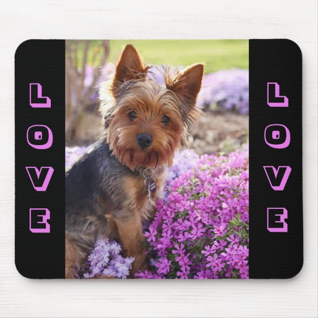 Yorkshire Terrier Welpe Hund Liebe Mousepad (Vorne)