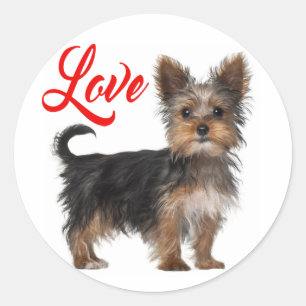 Yorkshire Terrier Welpe Hund Rote Liebe Runder Aufkleber