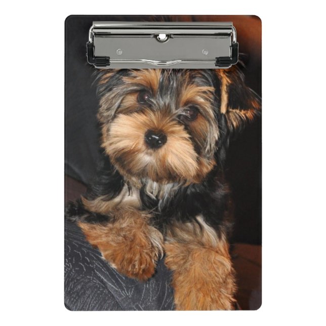 Yorkshire Terrier Welpe Mini Klemmbrett (Vorderseite)