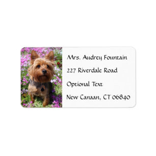 Yorkshire Terrier Welpenname Briefmarke Adressaufkleber