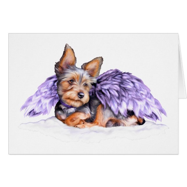Yorkshire Terrier Yorkie Angel (Devant horizontal)