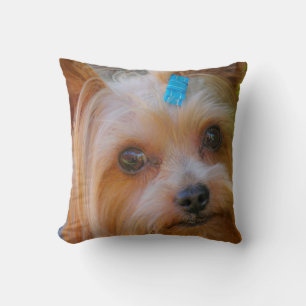 Yorkshire Terrier Yorkie Favorite Breed Kissen