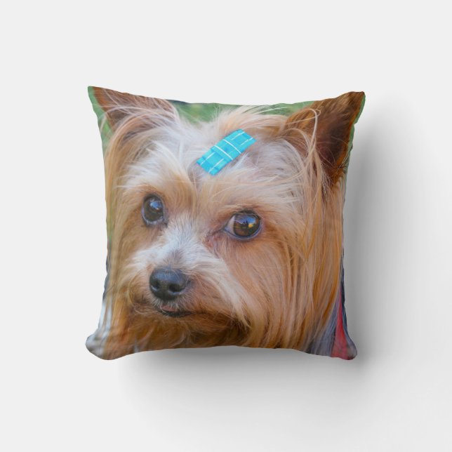 Yorkshire Terrier Yorkie Favorite Breed Kissen (Vorderseite)