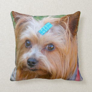Yorkshire Terrier Yorkie Favorite Breed Kissen