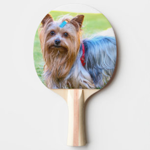 Yorkshire Terrier Yorkie Favorite Breed Tischtennis Schläger