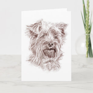 Yorkshire Terrier Zeichnend Dankeskarte