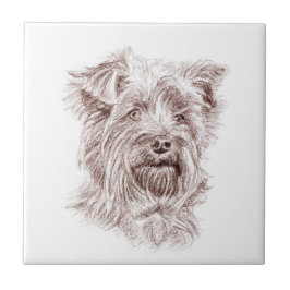 Yorkshire Terrier Zeichnend Fliese