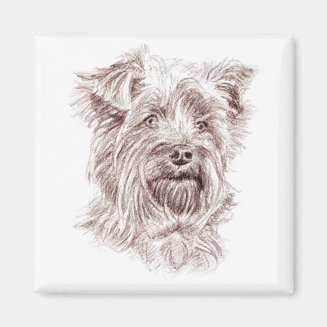 Yorkshire Terrier Zeichnend Magnet (Vorne)