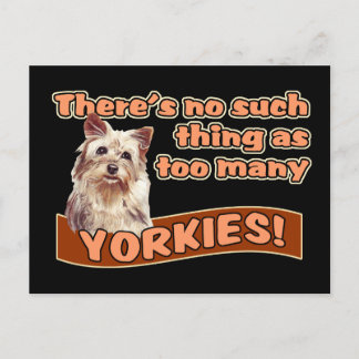 YORKSHIRE TERRIERS POSTKARTE