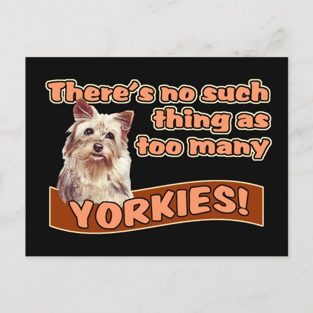 YORKSHIRE TERRIERS POSTKARTE (Vorderseite)