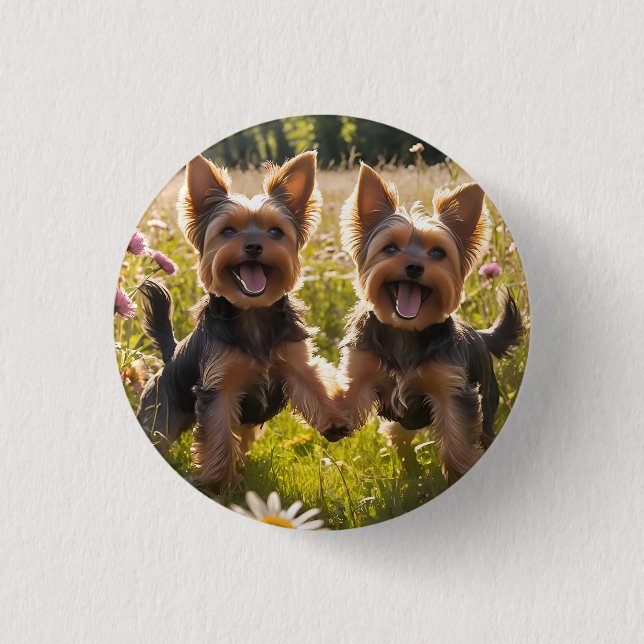 Yorkshire Terriers spielen im Gras Button (Vorderseite)