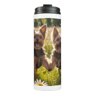 Yorkshire Terriers spielen im Gras Thermosbecher