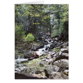 Yosemite au printemps : sentier de Bridalveil Fall