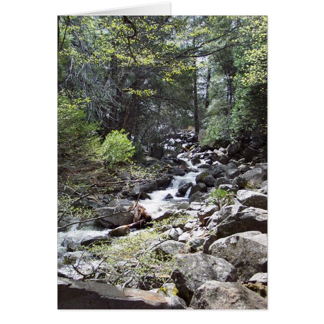 Yosemite au printemps : sentier de Bridalveil Fall (Devant)