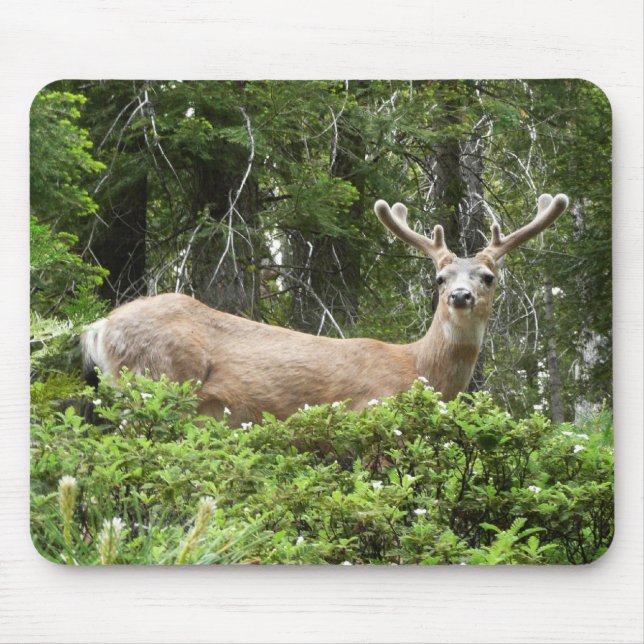 Yosemite Deer Nature Fotografy Mousepad (Vorne)