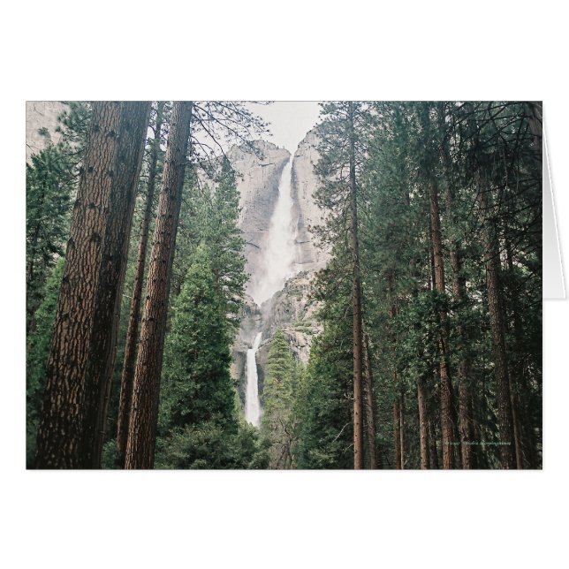 Yosemite Falls (Vorderseite (Horizontal))