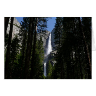 Yosemite Falls and Woods Landscape Fotografy