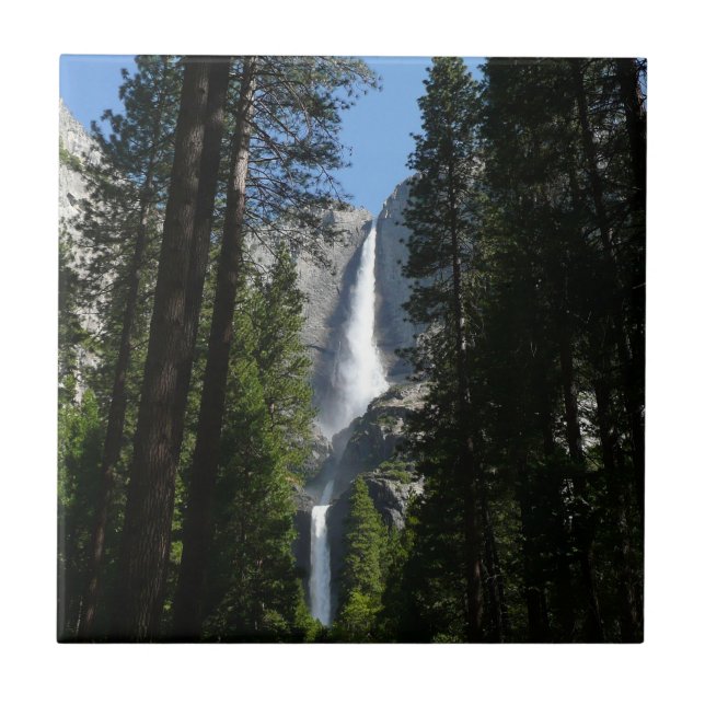 Yosemite Falls and Woods Landscape Fotografy Fliese (Vorderseite)
