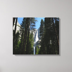 Yosemite Falls and Woods Landscape Fotografy Leinwanddruck