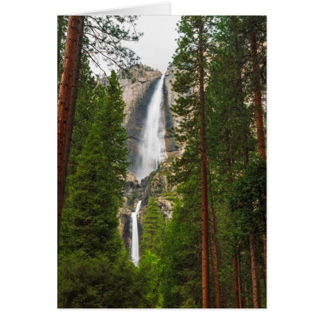 Yosemite Falls durch den Wald (Vorne)