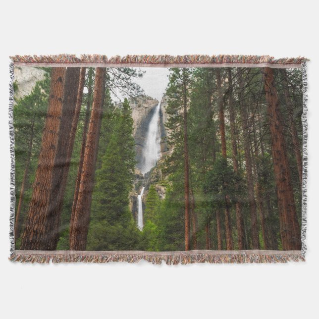 Yosemite Falls durch den Wald Decke (Vorderseite)