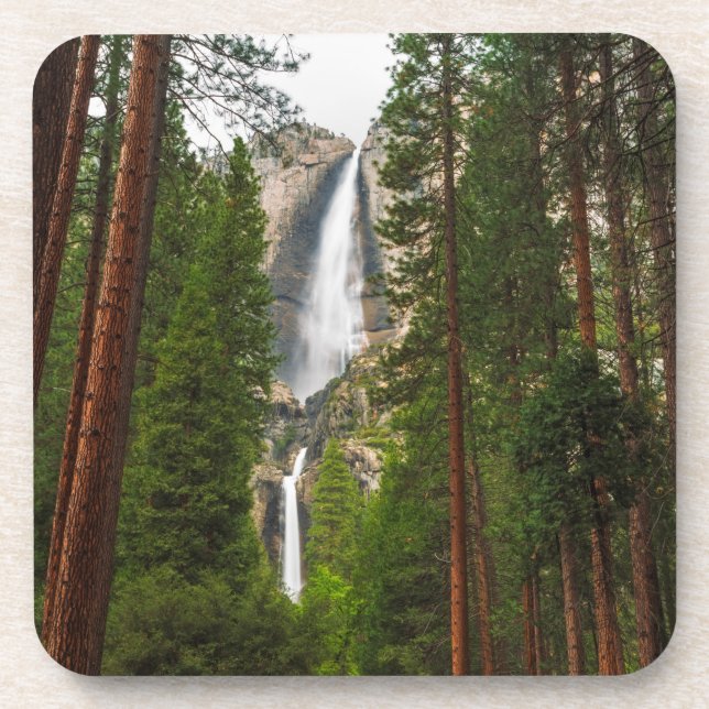 Yosemite Falls durch den Wald Getränkeuntersetzer (Vorderseite)