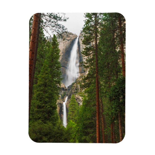 Yosemite Falls durch den Wald Magnet (Vertikal)