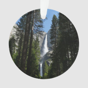 Yosemite Falls et Woods Paysage Photographie