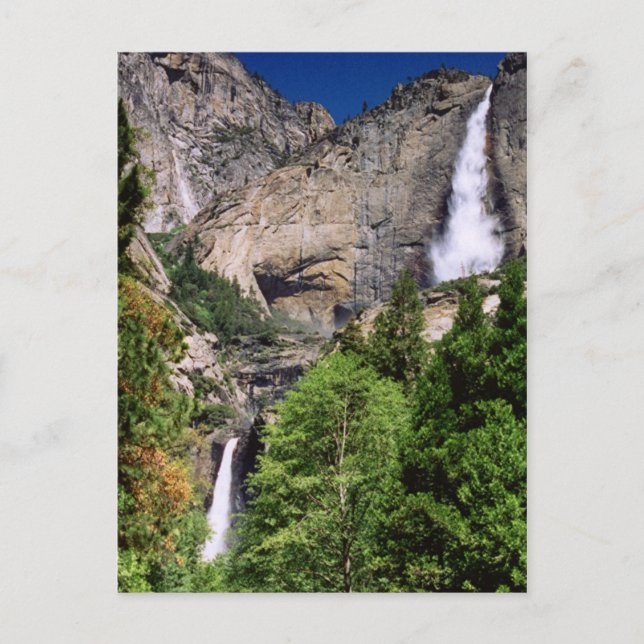 Yosemite Falls Postcard Postkarte (Vorderseite)