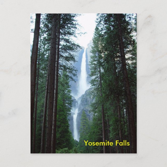 Yosemite Falls Postcard Postkarte (Vorderseite)