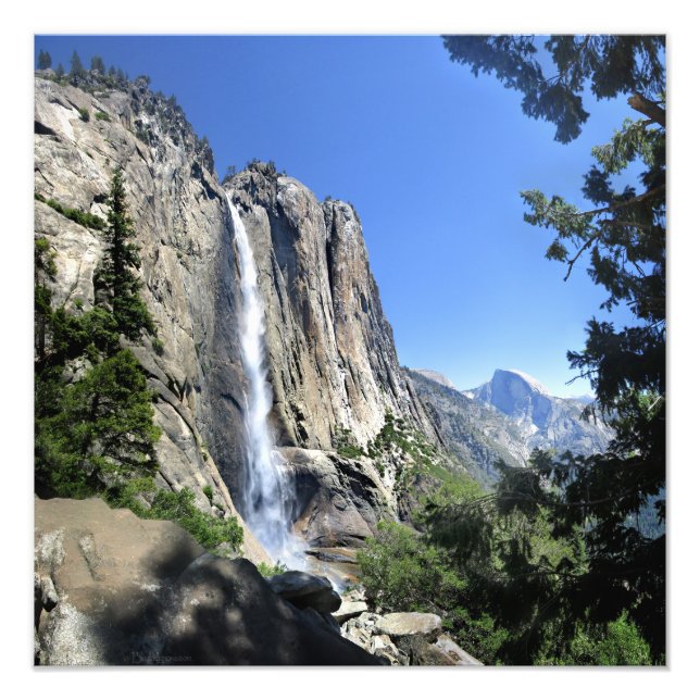 Yosemite Falls - Yosemite Fotodruck (Vorne)