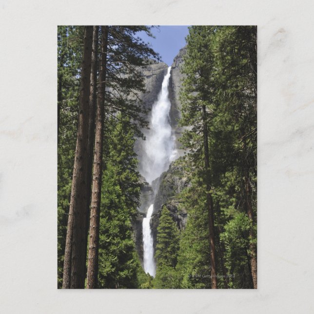 Yosemite Falls, Yosemite National Park Postkarte (Vorderseite)