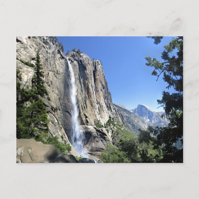 Yosemite Falls - Yosemite Postkarte (Vorderseite)