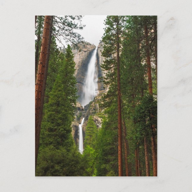 Yosemite fällt durch den Wald Postkarte (Vorderseite)