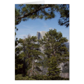 Yosemite im Springtime: Halbkuppel