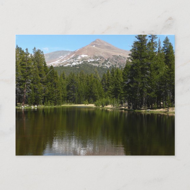 Yosemite Lake Reflection Postkarte (Vorderseite)