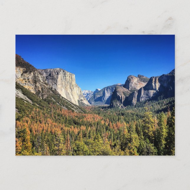 Yosemite National Park, Kalifornien Postkarte (Vorderseite)